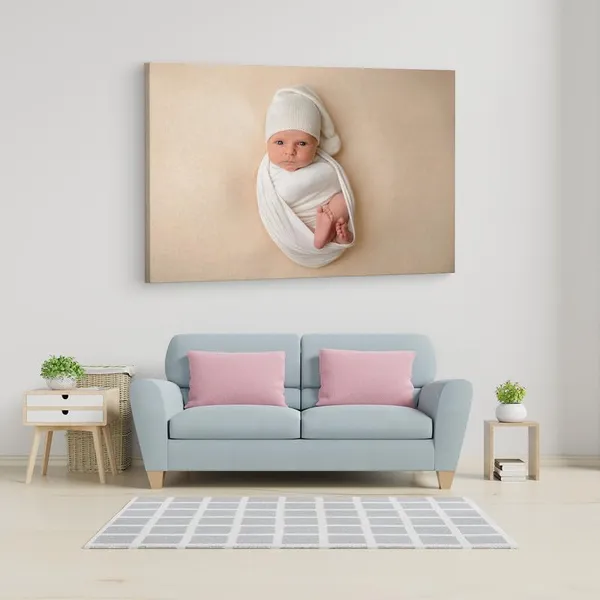 Multicolor_16_X_24_Inch,_Pine_Wood_Framed_Canvas_Paintings_|_For_Home_Decor,_Ready_To_Wall_Hanging,_Premium_Painting_|_For_|_Bedroom,_Living_Room,_Office_Wall_Decoration_|_Wall_Art_Painting,_Ct3626