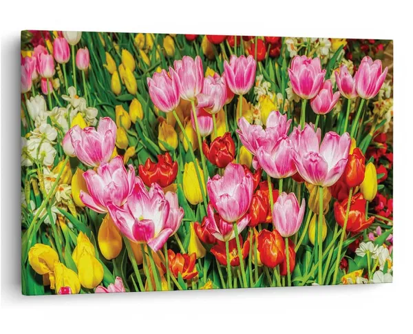 Multicolor_16_X_24_Inch,_Pine_Wood_Framed_Canvas_Paintings_|_For_Home_Decor,_Ready_To_Wall_Hanging,_Premium_Painting_|_For_|_Bedroom,_Living_Room,_Office_Wall_Decoration_|_Wall_Art_Painting,_Ct3629