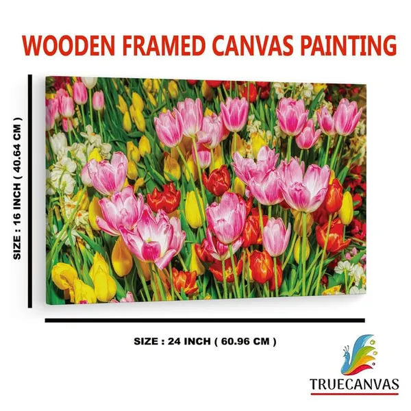 Multicolor_16_X_24_Inch,_Pine_Wood_Framed_Canvas_Paintings_|_For_Home_Decor,_Ready_To_Wall_Hanging,_Premium_Painting_|_For_|_Bedroom,_Living_Room,_Office_Wall_Decoration_|_Wall_Art_Painting,_Ct3629