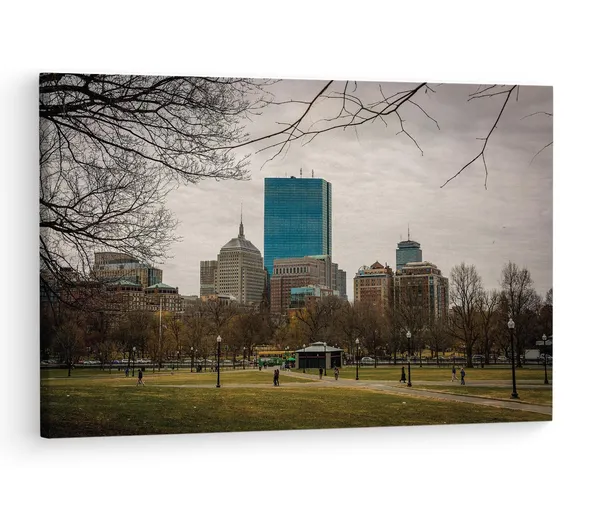 Multicolor_Boston_Common,_Wooden_Framed_Canvas_Paintings_|_For_Living_Room_|_Bedroom_|_Office_|_Gallery_|_Ready_Wall_Mount_Canvas_Wall_Art_Painting_|_Size_-_12_X_18In,_Ct0290