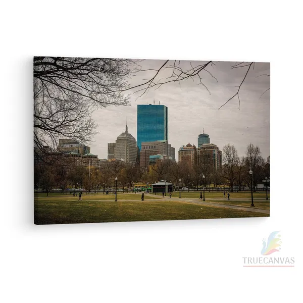 Multicolor_Boston_Common,_Wooden_Framed_Canvas_Paintings_|_For_Living_Room_|_Bedroom_|_Office_|_Gallery_|_Ready_Wall_Mount_Canvas_Wall_Art_Painting_|_Size_-_12_X_18In,_Ct0290