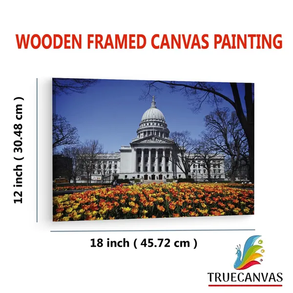 Multicolor_Wisconsin_State_Capitol,_Wooden_Framed_Canvas_Paintings_|_For_Living_Room_|_Bedroom_|_Office_|_Gallery_|_Ready_Wall_Mount_Canvas_Wall_Art_Painting_|_Size_-_12_X_18In,_Ct0399