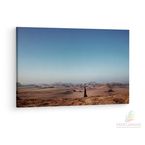 Multicolor_Wooden_Framed_Canvas_Paintings_|_For_Living_Room_|_Bedroom_|_Office_|_Gallery_|_Ready_Wall_Mount_Canvas_Wall_Art_Painting_|_Size_-_12_X_18In,_Ct0421