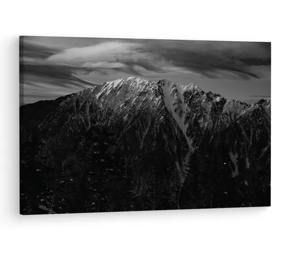 Multicolor_Wooden_Framed_Canvas_Paintings_|_For_Living_Room_|_Bedroom_|_Office_|_Gallery_|_Ready_Wall_Mount_Canvas_Wall_Art_Painting_|_Size_-_12_X_18In,_Ct0424