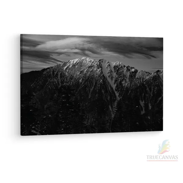 Multicolor_Wooden_Framed_Canvas_Paintings_|_For_Living_Room_|_Bedroom_|_Office_|_Gallery_|_Ready_Wall_Mount_Canvas_Wall_Art_Painting_|_Size_-_12_X_18In,_Ct0424