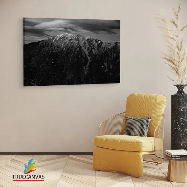 Multicolor_Wooden_Framed_Canvas_Paintings_|_For_Living_Room_|_Bedroom_|_Office_|_Gallery_|_Ready_Wall_Mount_Canvas_Wall_Art_Painting_|_Size_-_12_X_18In,_Ct0424
