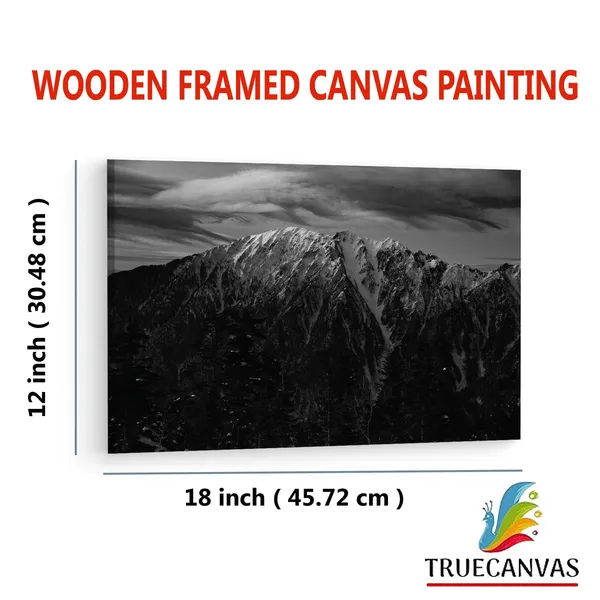 Multicolor_Wooden_Framed_Canvas_Paintings_|_For_Living_Room_|_Bedroom_|_Office_|_Gallery_|_Ready_Wall_Mount_Canvas_Wall_Art_Painting_|_Size_-_12_X_18In,_Ct0424