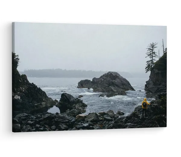 Multicolor_Wooden_Framed_Canvas_Paintings_|_For_Living_Room_|_Bedroom_|_Office_|_Gallery_|_Ready_Wall_Mount_Canvas_Wall_Art_Painting_|_Size_-_12_X_18In,_Ct0425