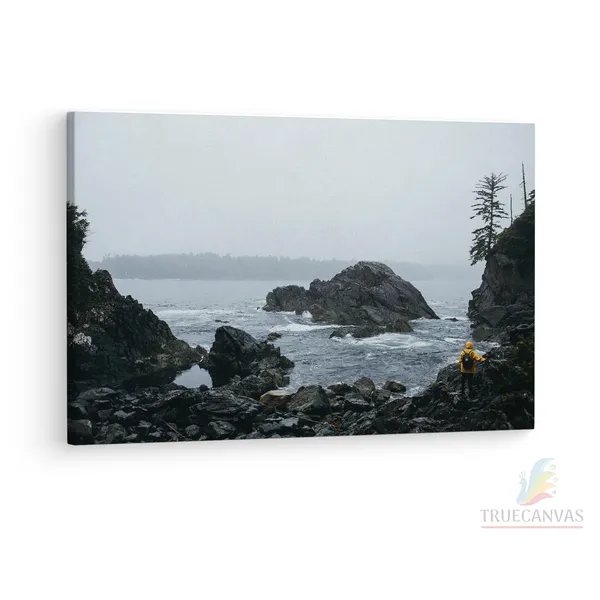 Multicolor_Wooden_Framed_Canvas_Paintings_|_For_Living_Room_|_Bedroom_|_Office_|_Gallery_|_Ready_Wall_Mount_Canvas_Wall_Art_Painting_|_Size_-_12_X_18In,_Ct0425