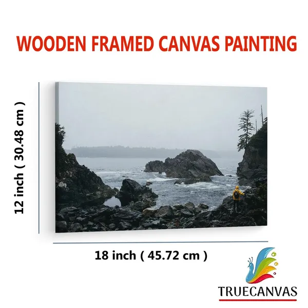 Multicolor_Wooden_Framed_Canvas_Paintings_|_For_Living_Room_|_Bedroom_|_Office_|_Gallery_|_Ready_Wall_Mount_Canvas_Wall_Art_Painting_|_Size_-_12_X_18In,_Ct0425