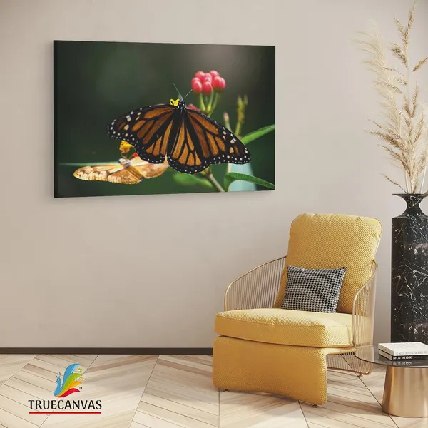Multicolor_Wooden_Framed_Canvas_Paintings_|_For_Living_Room_|_Bedroom_|_Office_|_Gallery_|_Ready_Wall_Mount_Canvas_Wall_Art_Painting_|_Size_-_12_X_18In,_Ct0428