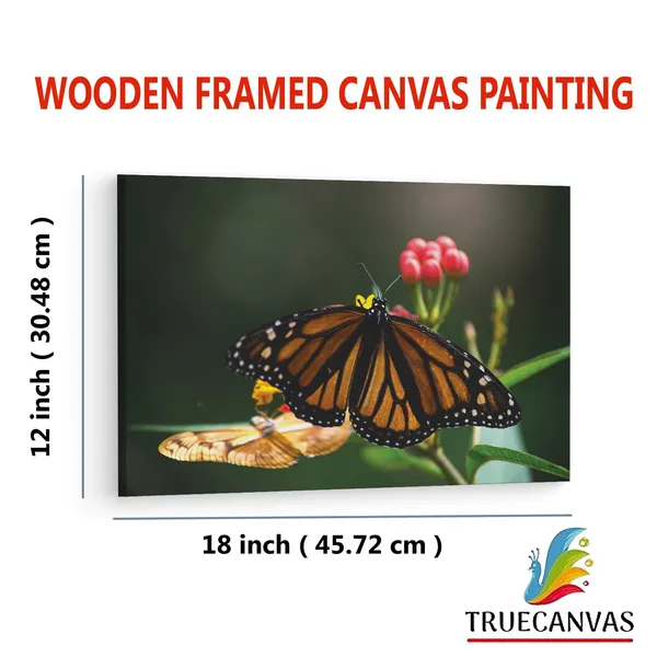 Multicolor_Wooden_Framed_Canvas_Paintings_|_For_Living_Room_|_Bedroom_|_Office_|_Gallery_|_Ready_Wall_Mount_Canvas_Wall_Art_Painting_|_Size_-_12_X_18In,_Ct0428