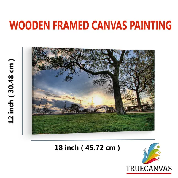 Multicolor_Trees,_Landscapes,_Grass,_Wooden_Framed_Canvas_Paintings_|_For_Living_Room_|_Bedroom_|_Office_|_Gallery_|_Ready_Wall_Mount_Canvas_Wall_Art_Painting_|_Size_-_12_X_18In,_Ct0450