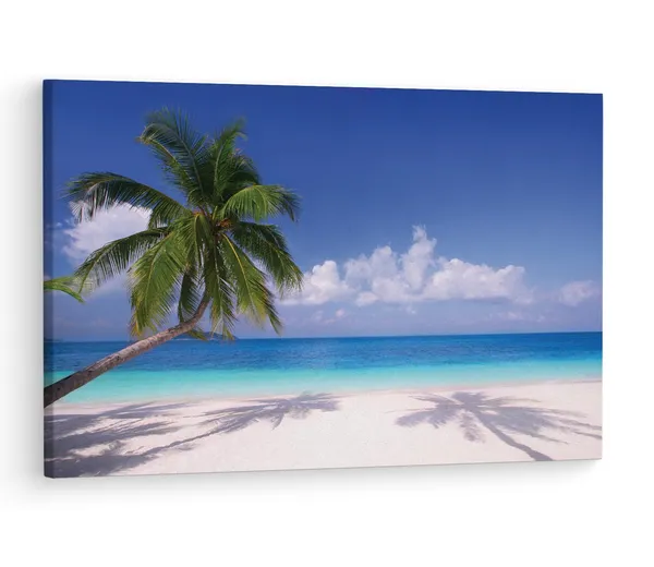 Multicolor_High_Resolution_Beach_Coconut,_Wooden_Framed_Canvas_Paintings_|_For_Living_Room_|_Bedroom_|_Office_|_Gallery_|_Ready_Wall_Mount_Canvas_Wall_Art_Painting_|_Size_-_12_X_18In,_Ct0645