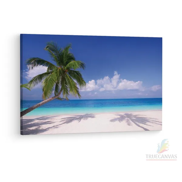 Multicolor_High_Resolution_Beach_Coconut,_Wooden_Framed_Canvas_Paintings_|_For_Living_Room_|_Bedroom_|_Office_|_Gallery_|_Ready_Wall_Mount_Canvas_Wall_Art_Painting_|_Size_-_12_X_18In,_Ct0645