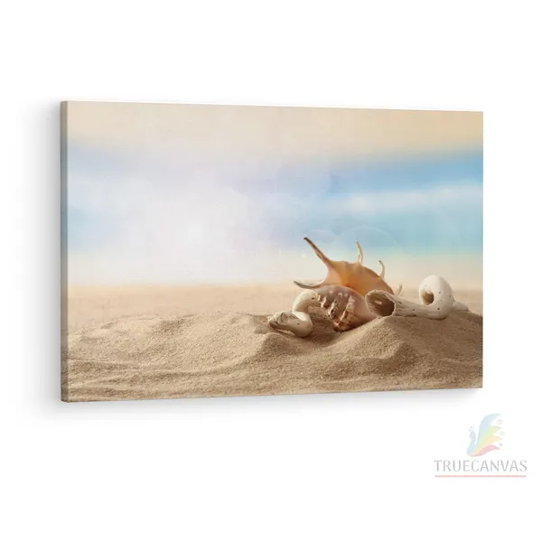 Multicolor_Seashell_Sand,_Wooden_Framed_Canvas_Paintings_|_For_Living_Room_|_Bedroom_|_Office_|_Gallery_|_Ready_Wall_Mount_Canvas_Wall_Art_Painting_|_Size_-_12_X_18In,_Ct0698