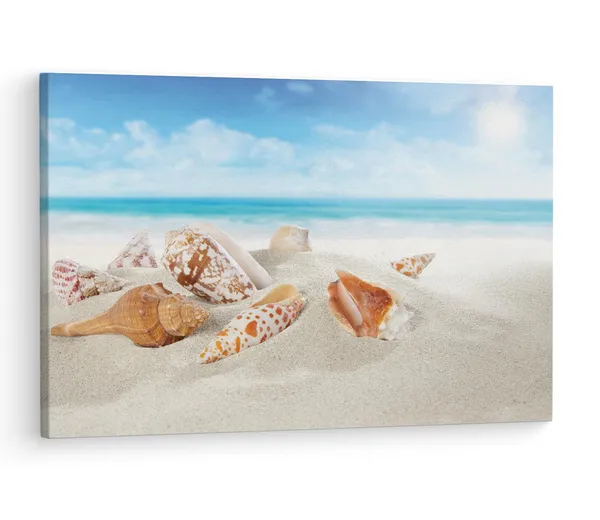 Multicolor_Seashell_Beach,_Wooden_Framed_Canvas_Paintings_|_For_Living_Room_|_Bedroom_|_Office_|_Gallery_|_Ready_Wall_Mount_Canvas_Wall_Art_Painting_|_Size_-_12_X_18In,_Ct0709