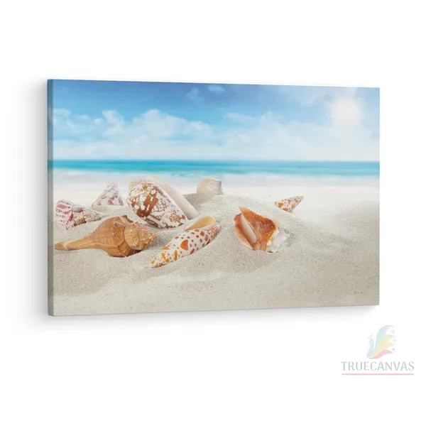 Multicolor_Seashell_Beach,_Wooden_Framed_Canvas_Paintings_|_For_Living_Room_|_Bedroom_|_Office_|_Gallery_|_Ready_Wall_Mount_Canvas_Wall_Art_Painting_|_Size_-_12_X_18In,_Ct0709