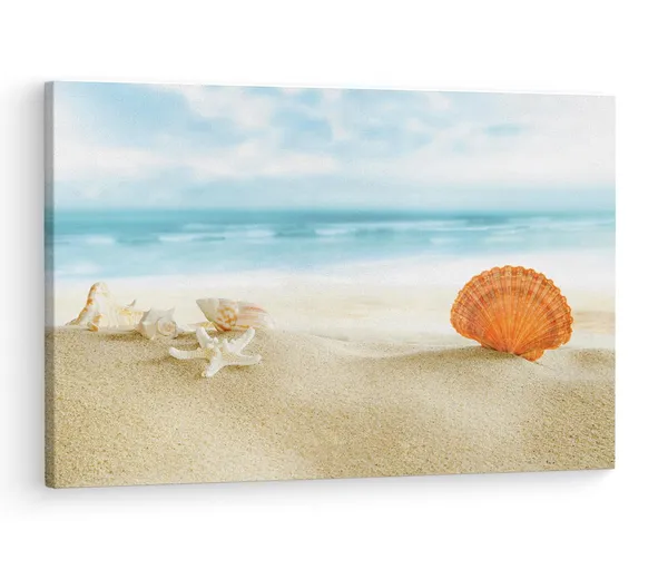 Multicolor_Beach_Beautiful_Shell,_Wooden_Framed_Canvas_Paintings_|_For_Living_Room_|_Bedroom_|_Office_|_Gallery_|_Ready_Wall_Mount_Canvas_Wall_Art_Painting_|_Size_-_12_X_18In,_Ct0710