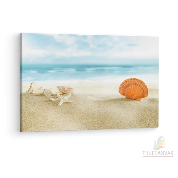 Multicolor_Beach_Beautiful_Shell,_Wooden_Framed_Canvas_Paintings_|_For_Living_Room_|_Bedroom_|_Office_|_Gallery_|_Ready_Wall_Mount_Canvas_Wall_Art_Painting_|_Size_-_12_X_18In,_Ct0710