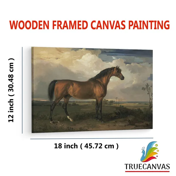 Multicolor_Abstract,_Wooden_Framed_Canvas_Paintings_|_For_Living_Room_|_Bedroom_|_Office_|_Gallery_|_Ready_Wall_Mount_Canvas_Wall_Art_Painting_|_Size_-_12_X_18In,_Ct0751