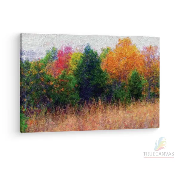 Multicolor_Abstract,_Wooden_Framed_Canvas_Paintings_|_For_Living_Room_|_Bedroom_|_Office_|_Gallery_|_Ready_Wall_Mount_Canvas_Wall_Art_Painting_|_Size_-_12_X_18In,_Ct0756