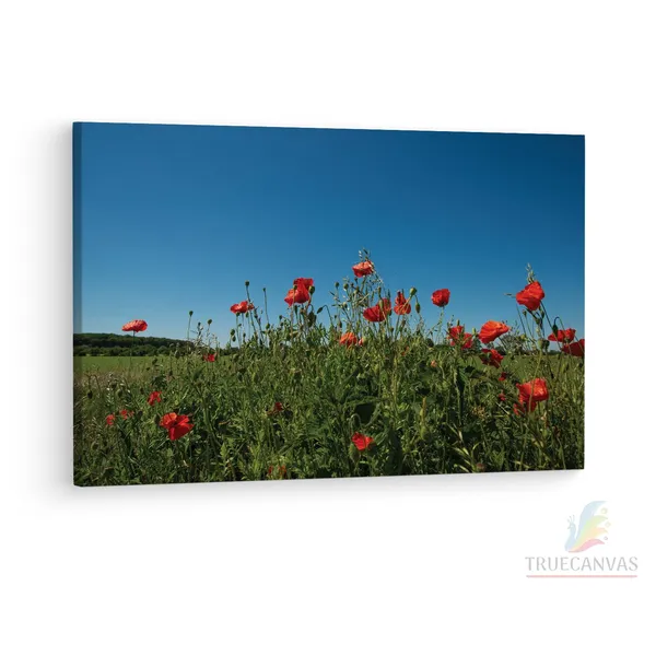 Multicolor_Abstract,_Wooden_Framed_Canvas_Paintings_|_For_Living_Room_|_Bedroom_|_Office_|_Gallery_|_Ready_Wall_Mount_Canvas_Wall_Art_Painting_|_Size_-_12_X_18In,_Ct0773