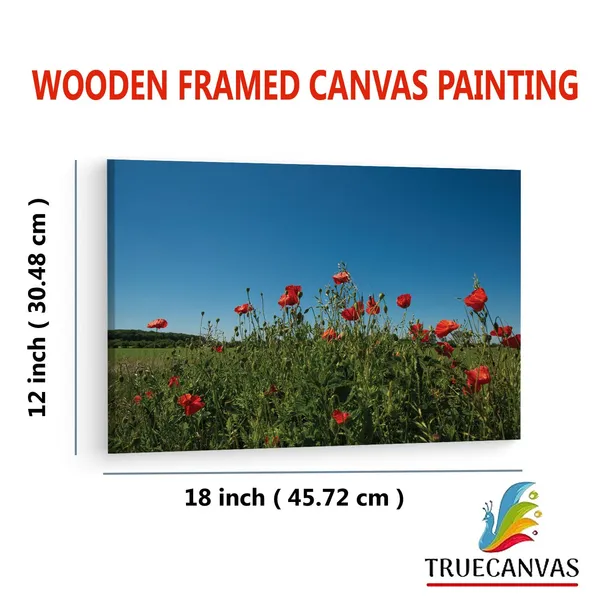Multicolor_Abstract,_Wooden_Framed_Canvas_Paintings_|_For_Living_Room_|_Bedroom_|_Office_|_Gallery_|_Ready_Wall_Mount_Canvas_Wall_Art_Painting_|_Size_-_12_X_18In,_Ct0773
