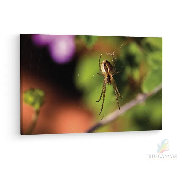 Multicolor_Abstract,_Wooden_Framed_Canvas_Paintings_|_For_Living_Room_|_Bedroom_|_Office_|_Gallery_|_Ready_Wall_Mount_Canvas_Wall_Art_Painting_|_Size_-_12_X_18In,_Ct0778