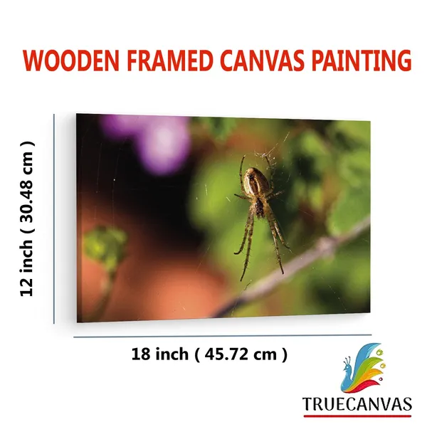Multicolor_Abstract,_Wooden_Framed_Canvas_Paintings_|_For_Living_Room_|_Bedroom_|_Office_|_Gallery_|_Ready_Wall_Mount_Canvas_Wall_Art_Painting_|_Size_-_12_X_18In,_Ct0778