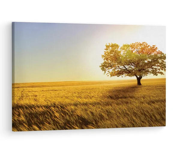 Multicolor_Yellow_Tree_Field,_Wooden_Framed_Canvas_Paintings_|_For_Living_Room_|_Bedroom_|_Office_|_Gallery_|_Ready_Wall_Mount_Canvas_Wall_Art_Painting_|_Size_-_12_X_18In,_Ct0797