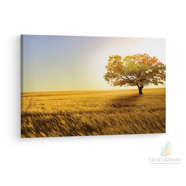 Multicolor_Yellow_Tree_Field,_Wooden_Framed_Canvas_Paintings_|_For_Living_Room_|_Bedroom_|_Office_|_Gallery_|_Ready_Wall_Mount_Canvas_Wall_Art_Painting_|_Size_-_12_X_18In,_Ct0797