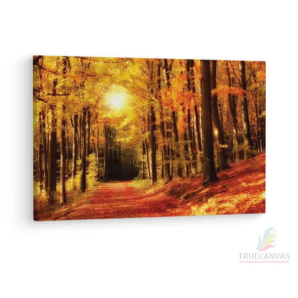 Multicolor_Abstract,_Wooden_Framed_Canvas_Paintings_|_For_Living_Room_|_Bedroom_|_Office_|_Gallery_|_Ready_Wall_Mount_Canvas_Wall_Art_Painting_|_Size_-_12_X_18In,_Ct0800
