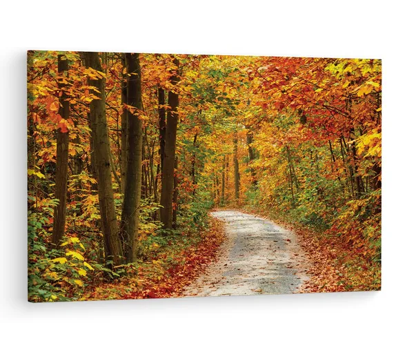 Multicolor_Papermoon_Fototapete_Pathway,_Wooden_Framed_Canvas_Paintings_|_For_Living_Room_|_Bedroom_|_Office_|_Gallery_|_Ready_Wall_Mount_Canvas_Wall_Art_Painting_|_Size_-_12_X_18In,_Ct0803