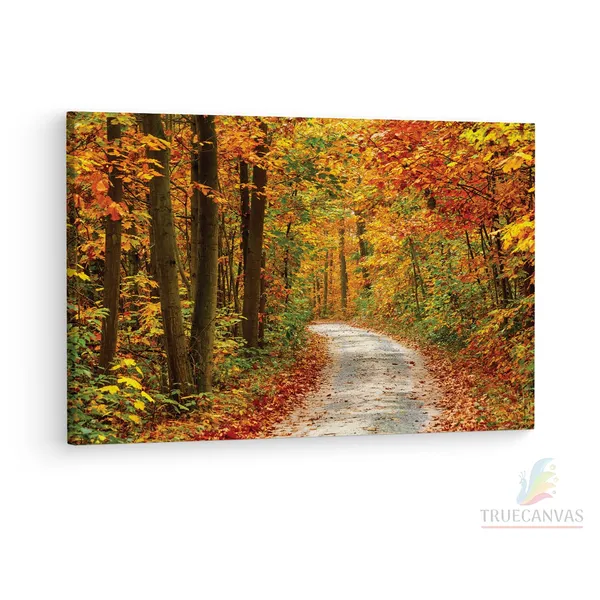Multicolor_Papermoon_Fototapete_Pathway,_Wooden_Framed_Canvas_Paintings_|_For_Living_Room_|_Bedroom_|_Office_|_Gallery_|_Ready_Wall_Mount_Canvas_Wall_Art_Painting_|_Size_-_12_X_18In,_Ct0803