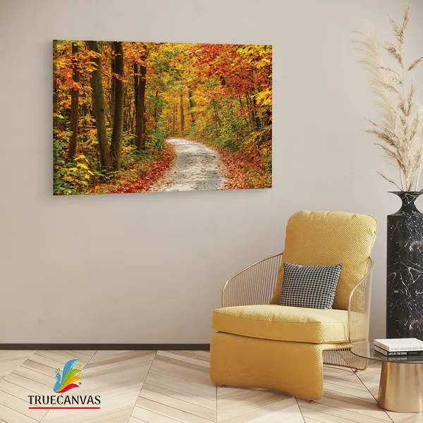 Multicolor_Papermoon_Fototapete_Pathway,_Wooden_Framed_Canvas_Paintings_|_For_Living_Room_|_Bedroom_|_Office_|_Gallery_|_Ready_Wall_Mount_Canvas_Wall_Art_Painting_|_Size_-_12_X_18In,_Ct0803