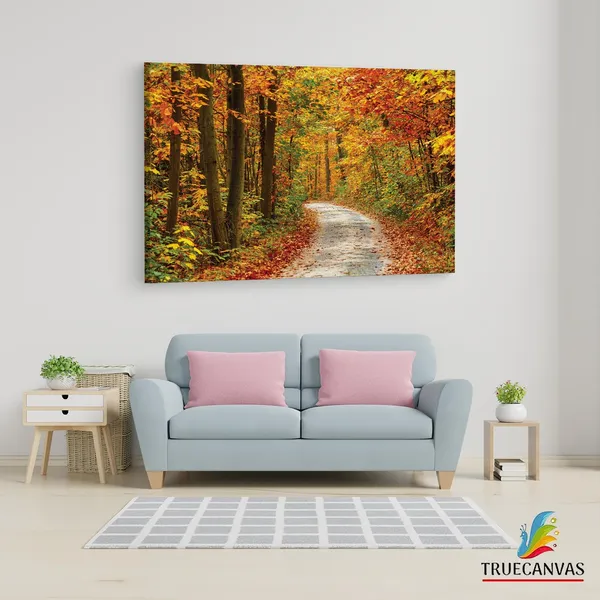 Multicolor_Papermoon_Fototapete_Pathway,_Wooden_Framed_Canvas_Paintings_|_For_Living_Room_|_Bedroom_|_Office_|_Gallery_|_Ready_Wall_Mount_Canvas_Wall_Art_Painting_|_Size_-_12_X_18In,_Ct0803