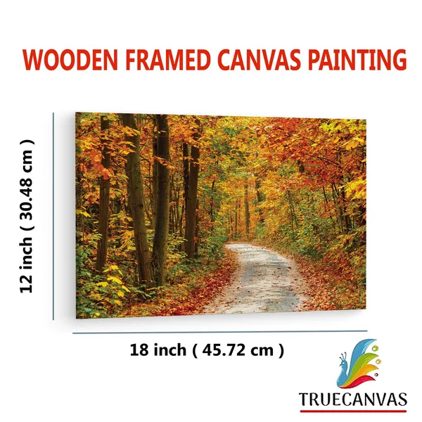 Multicolor_Papermoon_Fototapete_Pathway,_Wooden_Framed_Canvas_Paintings_|_For_Living_Room_|_Bedroom_|_Office_|_Gallery_|_Ready_Wall_Mount_Canvas_Wall_Art_Painting_|_Size_-_12_X_18In,_Ct0803