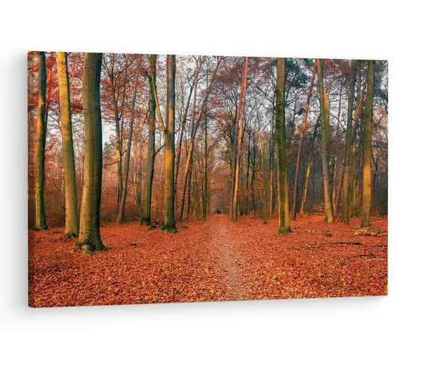 Multicolor_Netherlands_In_Beautiful_Golden,_Wooden_Framed_Canvas_Paintings_|_For_Living_Room_|_Bedroom_|_Office_|_Gallery_|_Ready_Wall_Mount_Canvas_Wall_Art_Painting_|_Size_-_12_X_18In,_Ct0804