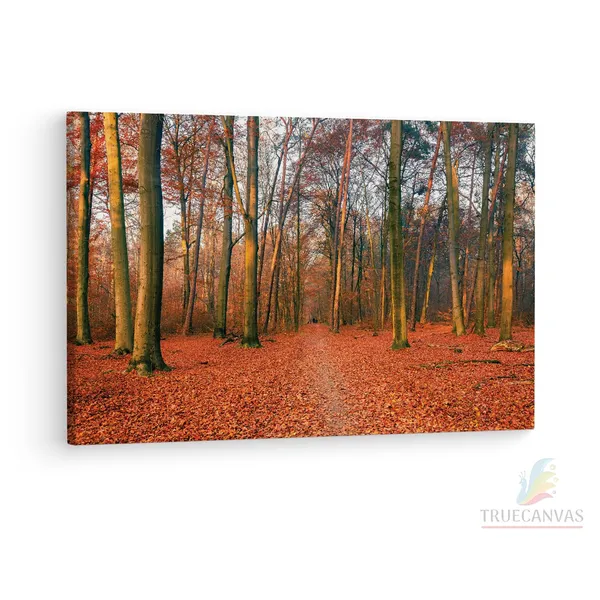 Multicolor_Netherlands_In_Beautiful_Golden,_Wooden_Framed_Canvas_Paintings_|_For_Living_Room_|_Bedroom_|_Office_|_Gallery_|_Ready_Wall_Mount_Canvas_Wall_Art_Painting_|_Size_-_12_X_18In,_Ct0804