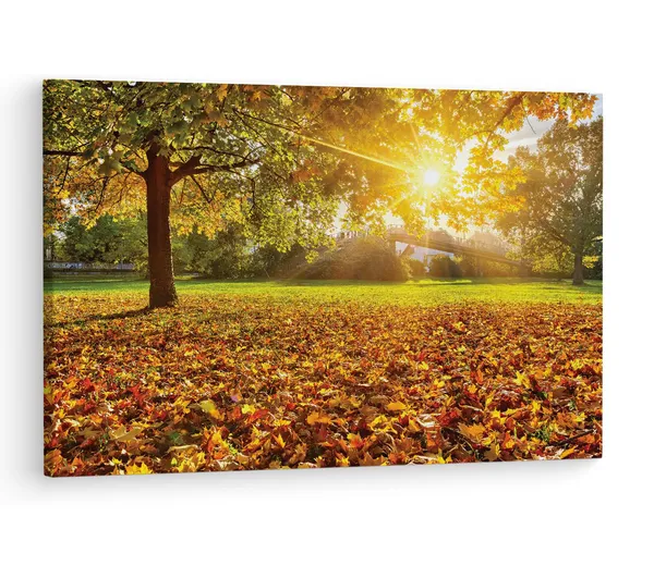 Multicolor_Abstract,_Wooden_Framed_Canvas_Paintings_|_For_Living_Room_|_Bedroom_|_Office_|_Gallery_|_Ready_Wall_Mount_Canvas_Wall_Art_Painting_|_Size_-_12_X_18In,_Ct0805