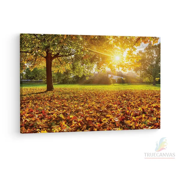 Multicolor_Abstract,_Wooden_Framed_Canvas_Paintings_|_For_Living_Room_|_Bedroom_|_Office_|_Gallery_|_Ready_Wall_Mount_Canvas_Wall_Art_Painting_|_Size_-_12_X_18In,_Ct0805
