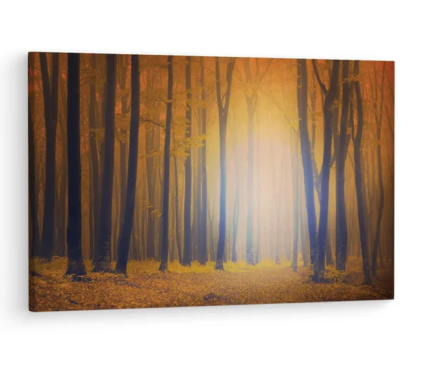 Multicolor_Beech_Trees_Ian_Thomson,_Wooden_Framed_Canvas_Paintings_|_For_Living_Room_|_Bedroom_|_Office_|_Gallery_|_Ready_Wall_Mount_Canvas_Wall_Art_Painting_|_Size_-_12_X_18In,_Ct0808