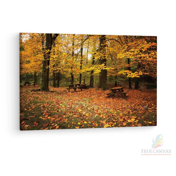 Multicolor_Abstract,_Wooden_Framed_Canvas_Paintings_|_For_Living_Room_|_Bedroom_|_Office_|_Gallery_|_Ready_Wall_Mount_Canvas_Wall_Art_Painting_|_Size_-_12_X_18In,_Ct0810