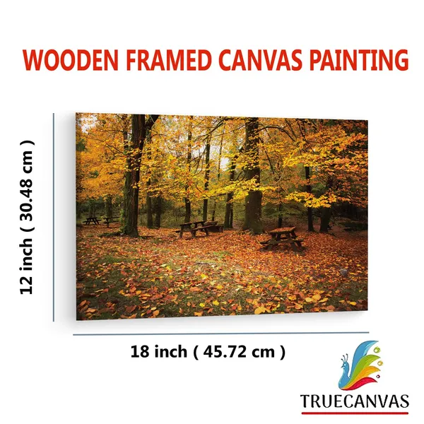 Multicolor_Abstract,_Wooden_Framed_Canvas_Paintings_|_For_Living_Room_|_Bedroom_|_Office_|_Gallery_|_Ready_Wall_Mount_Canvas_Wall_Art_Painting_|_Size_-_12_X_18In,_Ct0810