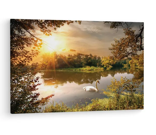 Multicolor_Papermoon_Fototapete_Schwan,_Wooden_Framed_Canvas_Paintings_|_For_Living_Room_|_Bedroom_|_Office_|_Gallery_|_Ready_Wall_Mount_Canvas_Wall_Art_Painting_|_Size_-_12_X_18In,_Ct0811