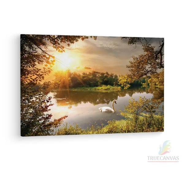 Multicolor_Papermoon_Fototapete_Schwan,_Wooden_Framed_Canvas_Paintings_|_For_Living_Room_|_Bedroom_|_Office_|_Gallery_|_Ready_Wall_Mount_Canvas_Wall_Art_Painting_|_Size_-_12_X_18In,_Ct0811