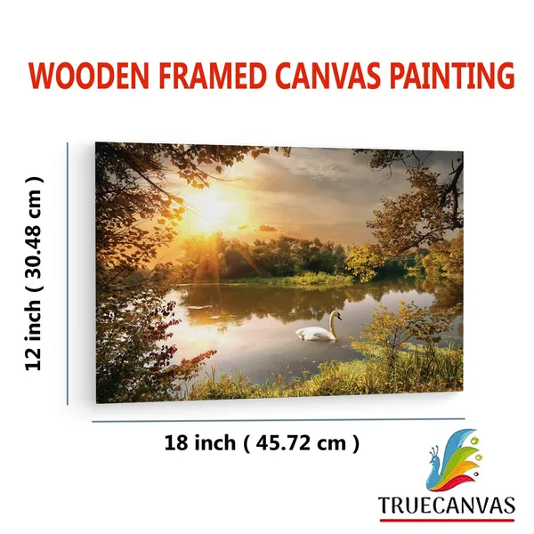 Multicolor_Papermoon_Fototapete_Schwan,_Wooden_Framed_Canvas_Paintings_|_For_Living_Room_|_Bedroom_|_Office_|_Gallery_|_Ready_Wall_Mount_Canvas_Wall_Art_Painting_|_Size_-_12_X_18In,_Ct0811