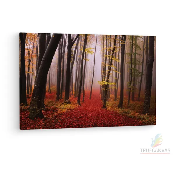 Multicolor_Autumn_|_Forest_Path,_Wooden_Framed_Canvas_Paintings_|_For_Living_Room_|_Bedroom_|_Office_|_Gallery_|_Ready_Wall_Mount_Canvas_Wall_Art_Painting_|_Size_-_12_X_18In,_Ct0814