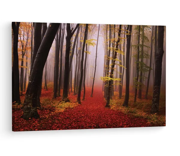 Multicolor_Autumn_|_Forest_Path,_Wooden_Framed_Canvas_Paintings_|_For_Living_Room_|_Bedroom_|_Office_|_Gallery_|_Ready_Wall_Mount_Canvas_Wall_Art_Painting_|_Size_-_12_X_18In,_Ct0814